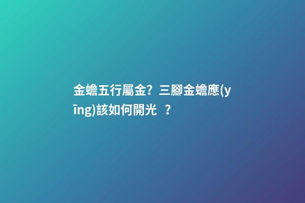 金蟾五行屬金？三腳金蟾應(yīng)該如何開光？